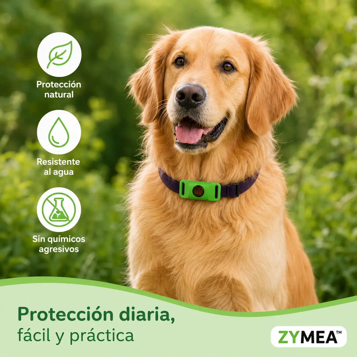 Zymea™ — Colgante natural antipulgas y antigarrapatas para perros