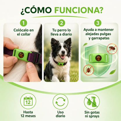 Zymea™ — Colgante natural antipulgas y antigarrapatas para perros