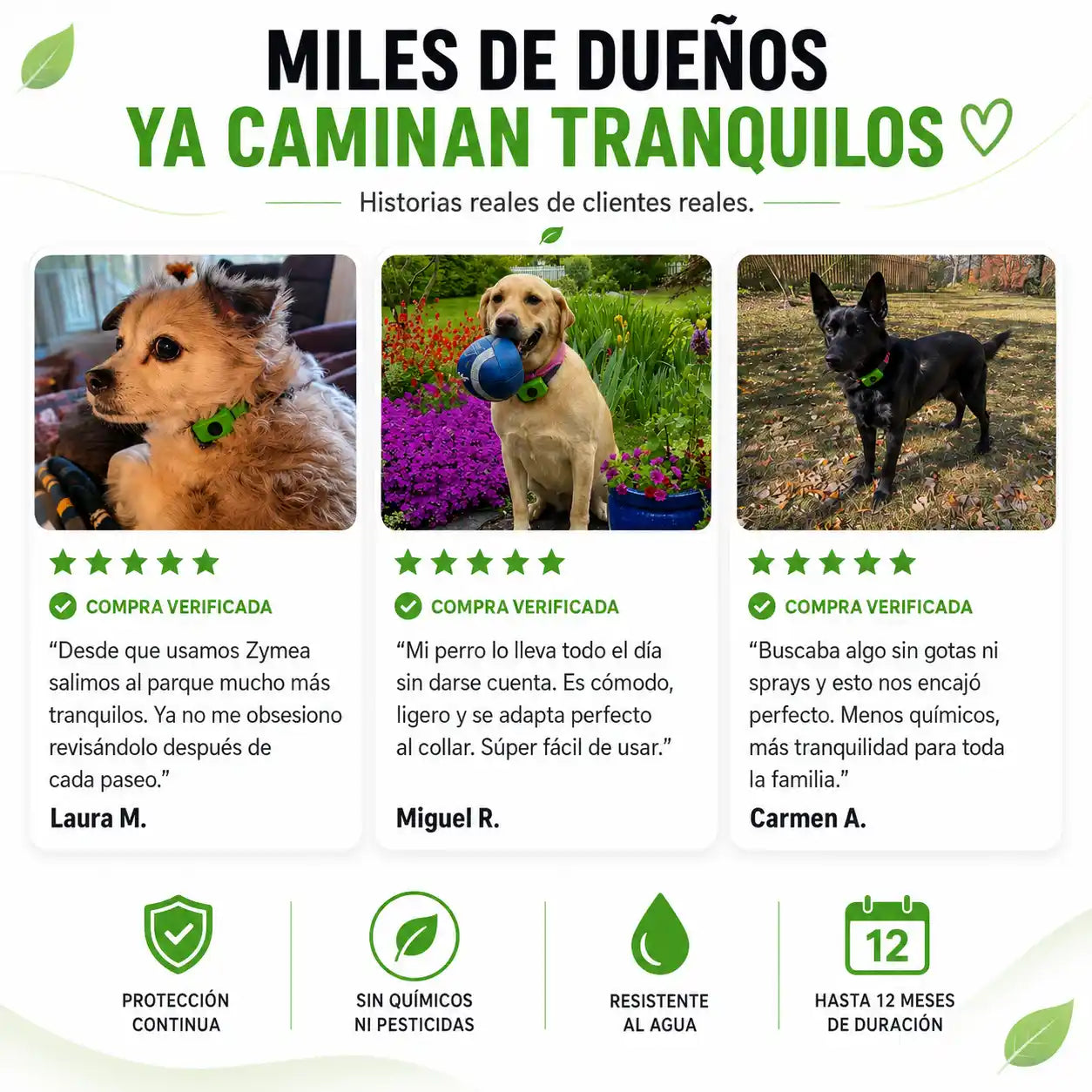 Zymea™ — Colgante natural antipulgas y antigarrapatas para perros