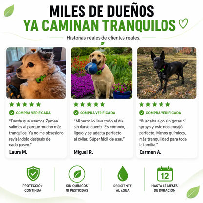 Zymea™ — Colgante natural antipulgas y antigarrapatas para perros